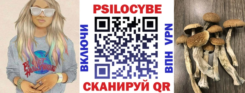 Псилоцибиновые грибы мицелий  Ярцево 