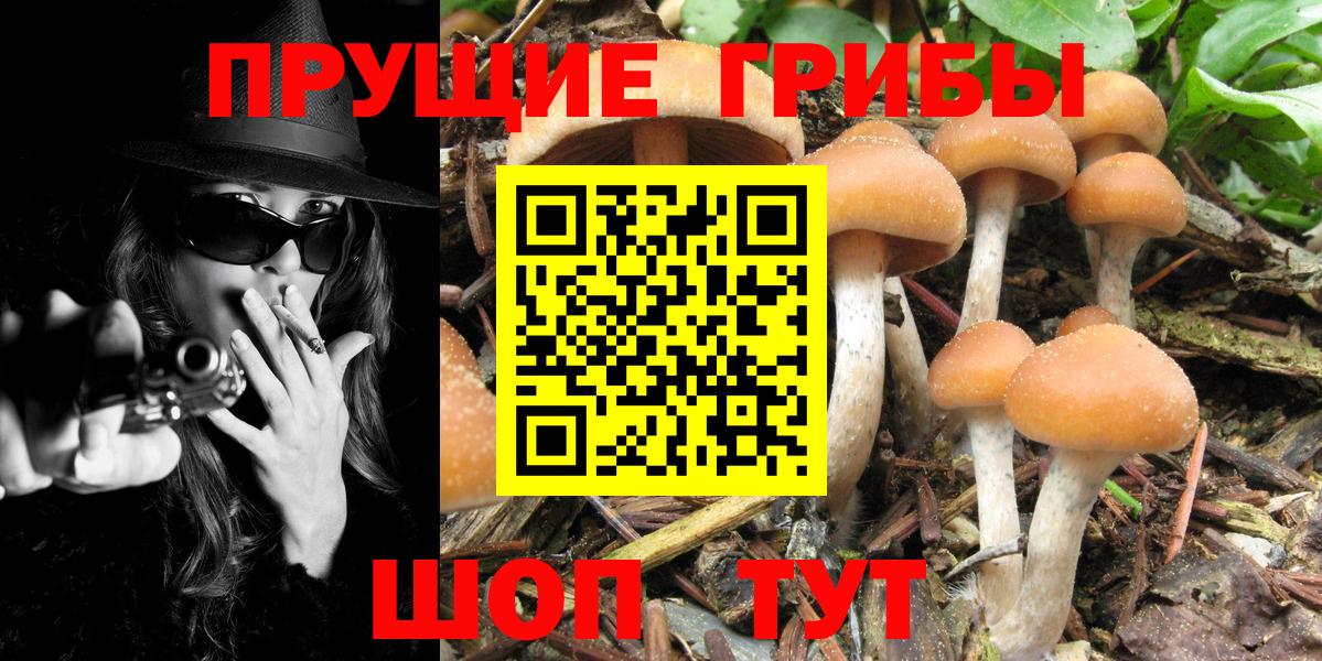 Галлюциногенные грибы Cubensis  Псилоцибиновые грибы GOLDEN TEACHER  Ярцево  Вход с VPN 
