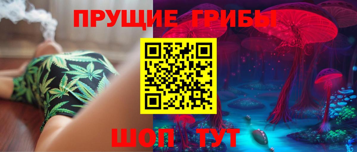 Галлюциногенные грибы Psilocybine cubensis Ярцево