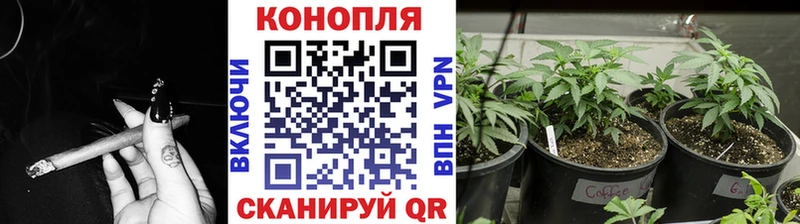 Шишки марихуана Amnesia Ярцево